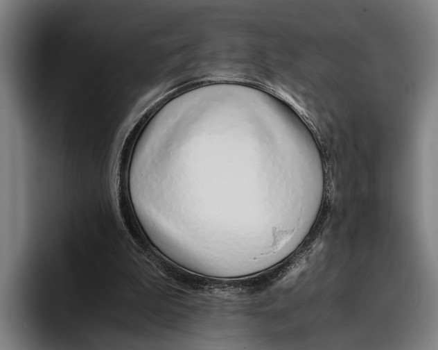 X0000094080199200711161614
