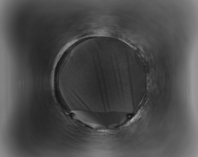 X0000094080200200711161614