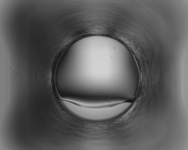 X0000094080201200711161614