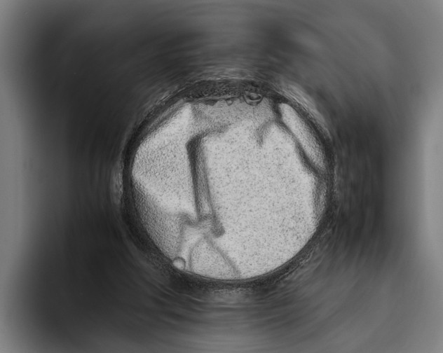 X0000094080202200711161614
