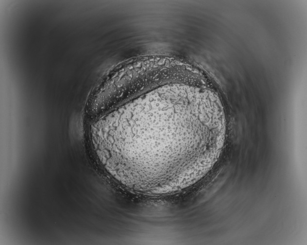 X0000094080203200711161614