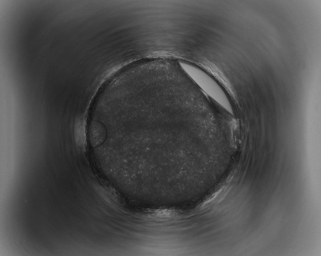 X0000094080204200711161614