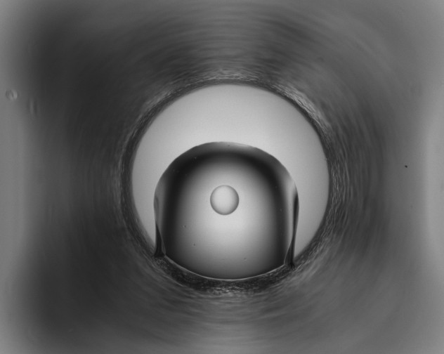 X0000094080207200711161614