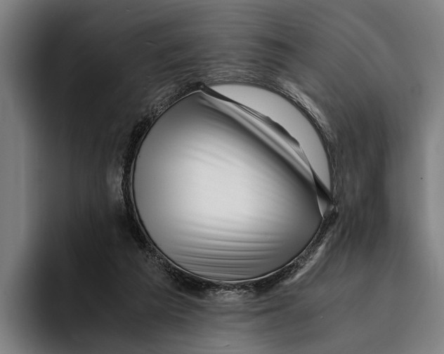 X0000094080209200711161614