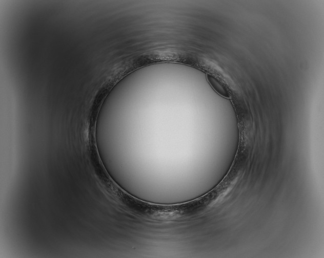 X0000094080213200711161614
