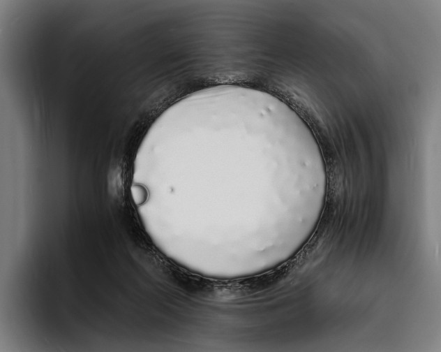 X0000094080214200711161614