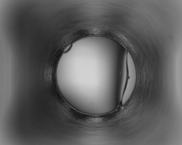X0000094080217200711161614