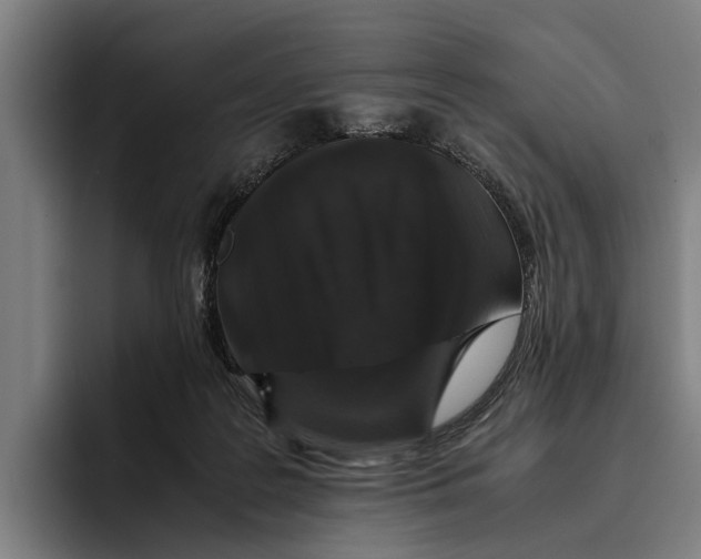 X0000094080219200711161614