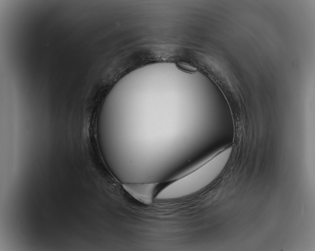 X0000094080221200711161614