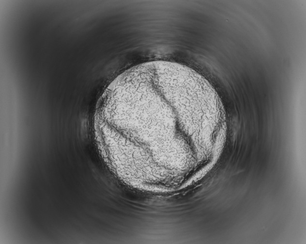 X0000094080222200711161614