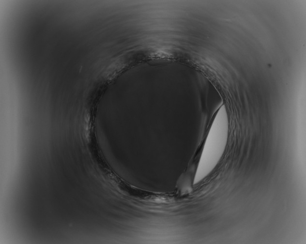 X0000094080223200711161614