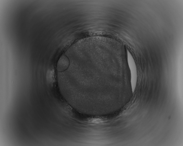 X0000094080224200711161614