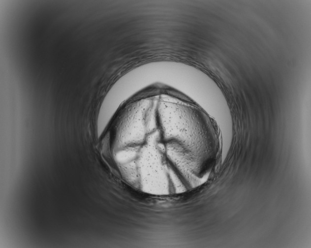 X0000094080229200711161614