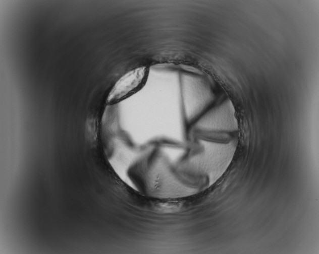 X0000094080232200711161613