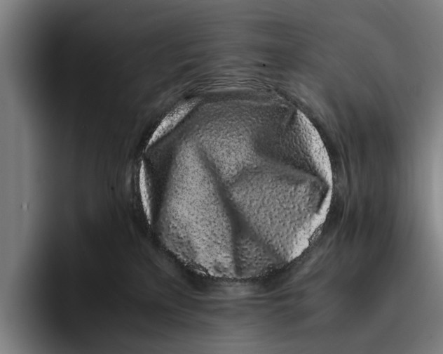 X0000094080233200711161613