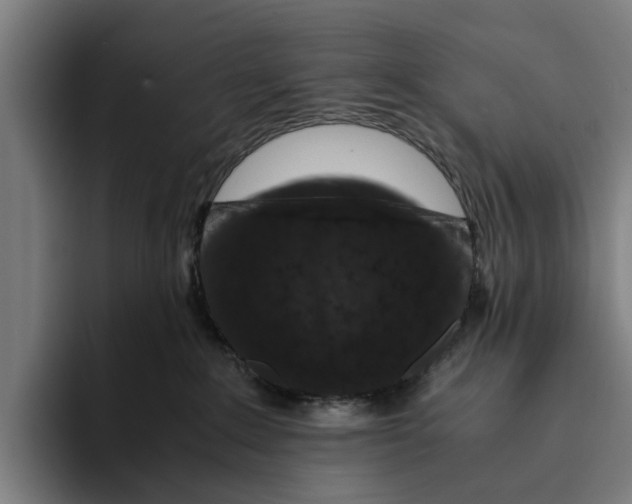X0000094080235200711161613