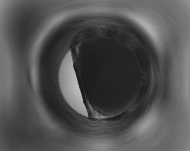 X0000094080239200711161613