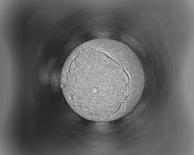 X0000094080240200711161613