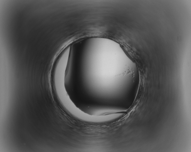X0000094080244200711161613