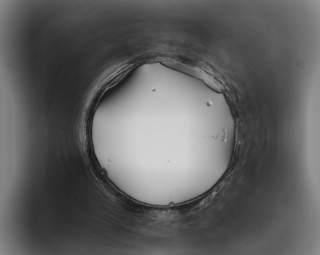 X0000094080245200711161613