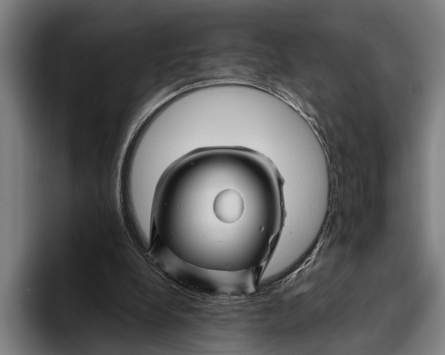 X0000094080248200711161613