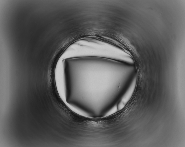 X0000094080250200711161613