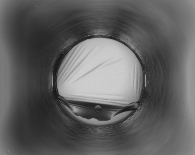 X0000094080253200711161613
