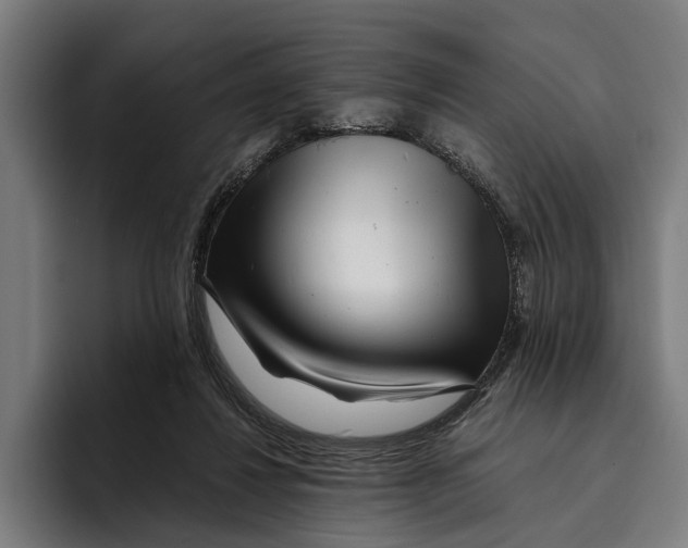 X0000094080260200711161613