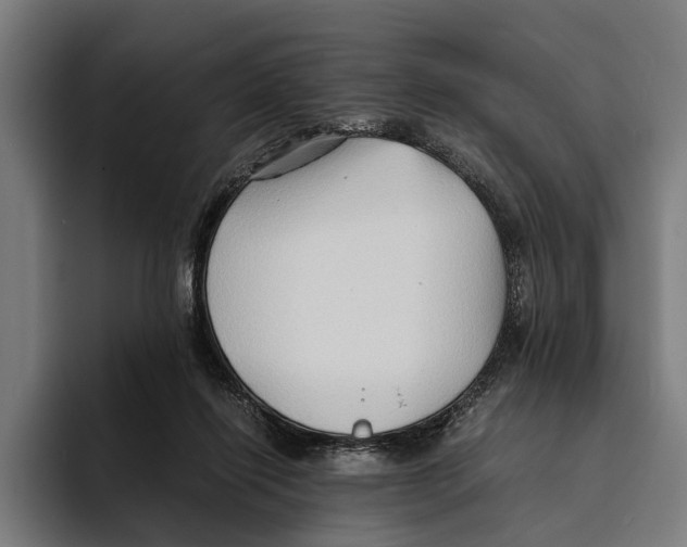 X0000094080262200711161613