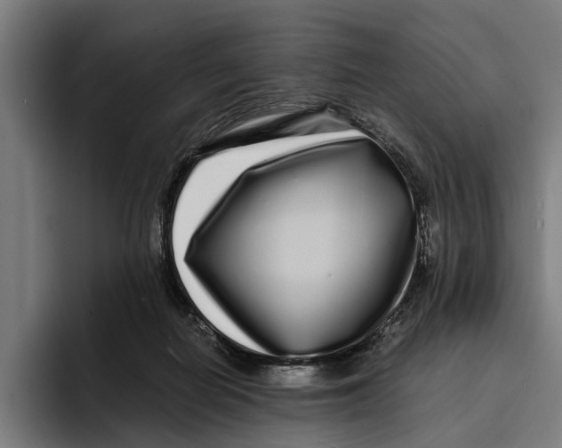 X0000094080266200711161613