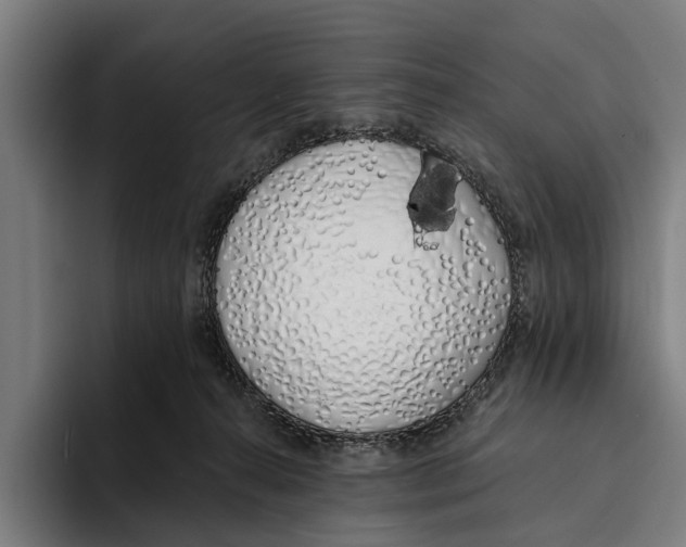 X0000094080272200711161613