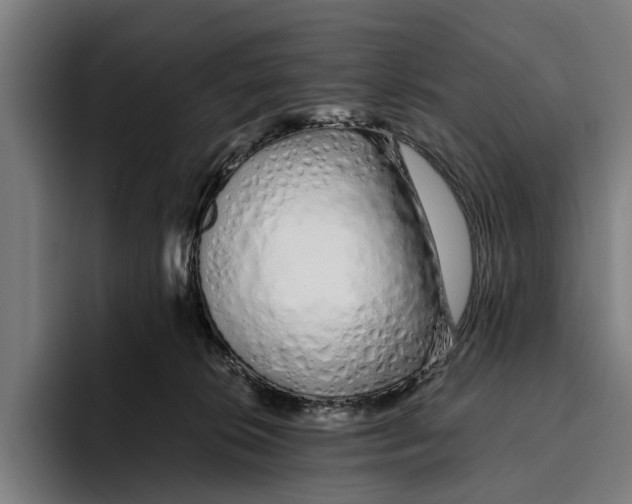 X0000094080276200711161613