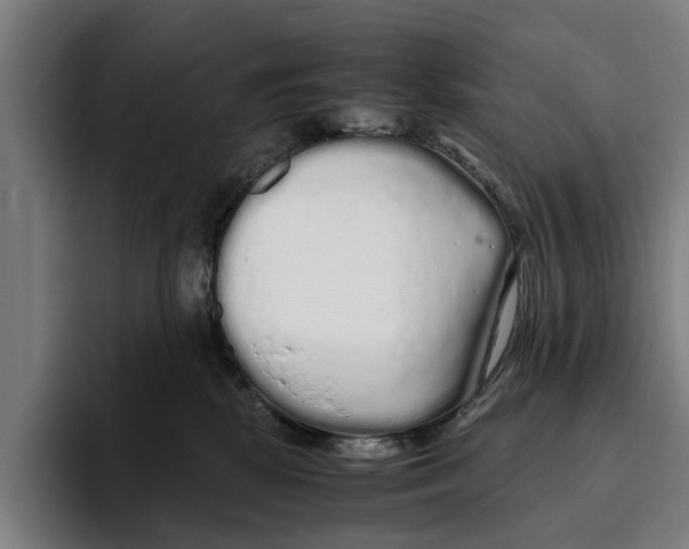 X0000094080281200711161613