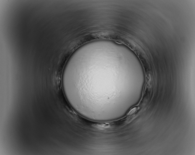X0000094080284200711161613