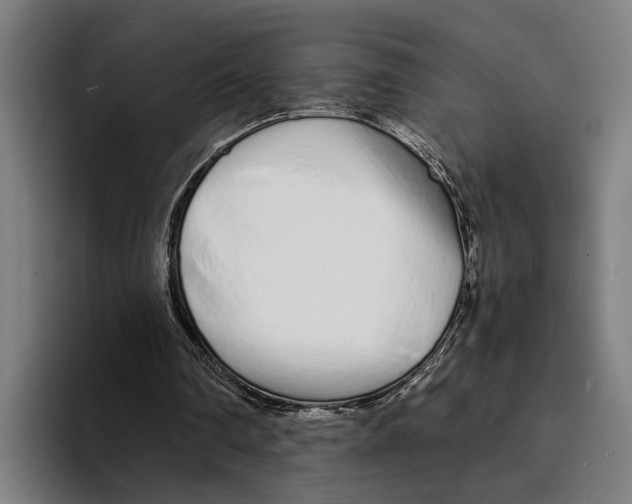 X0000094080290200711161613