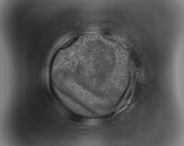X0000094080293200711161613