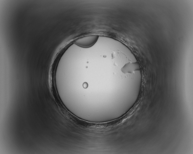 X0000094080294200711161613