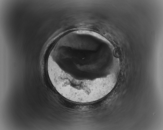 X0000094080295200711161613