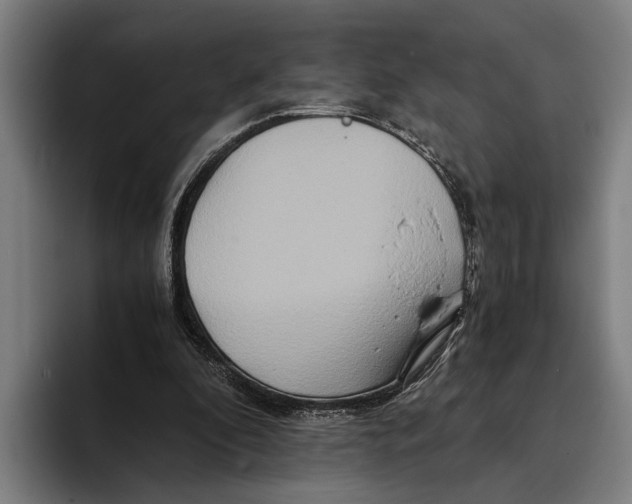X0000094080296200711161613