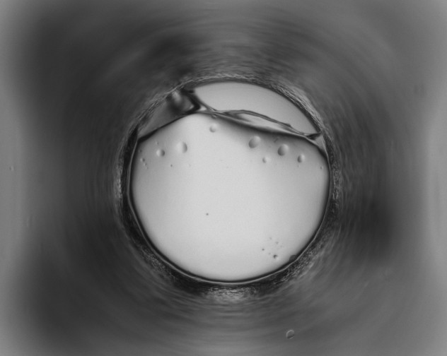 X0000094080299200711161613