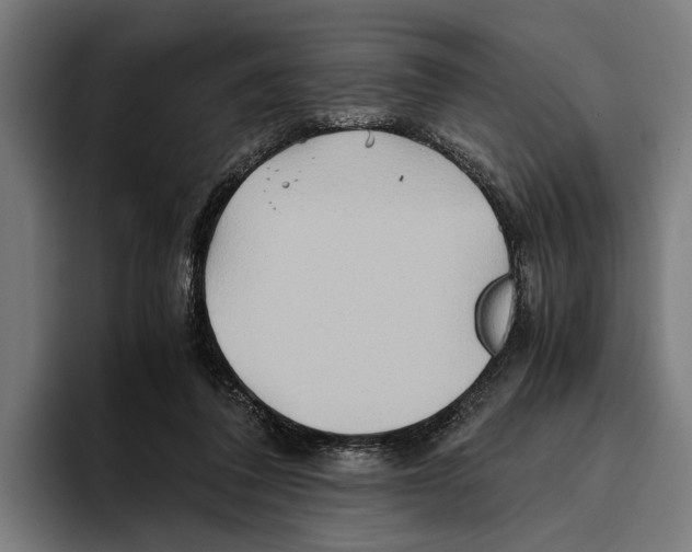 X0000094080308200711161612