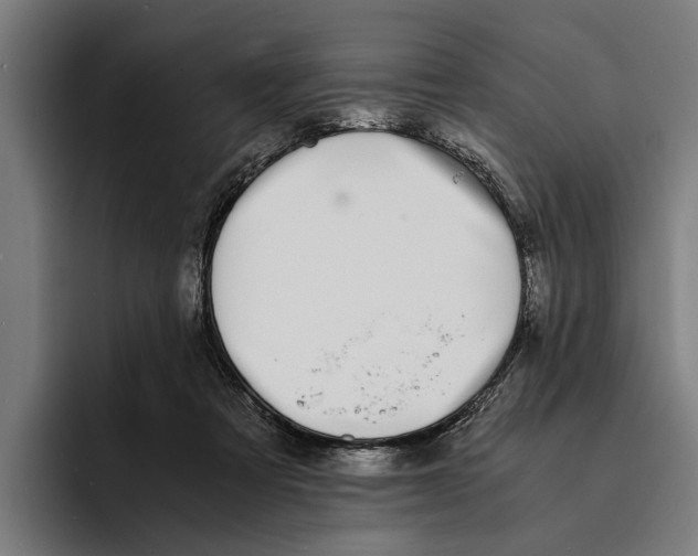 X0000094080313200711161612