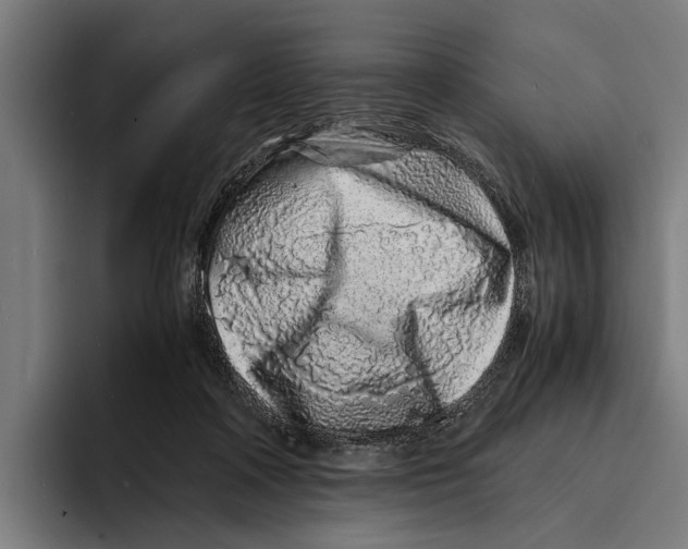 X0000094080314200711161612