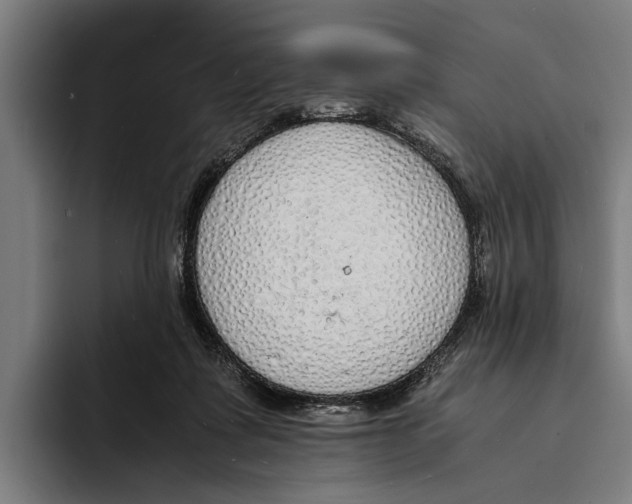 X0000094080315200711161612