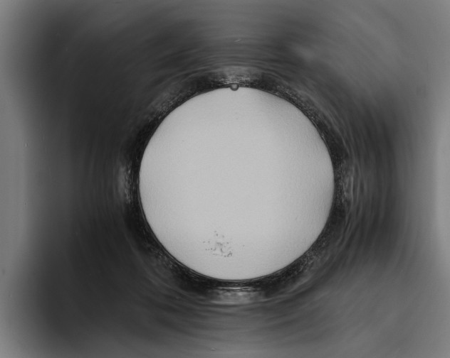 X0000094080316200711161612