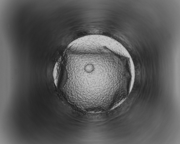 X0000094080322200711161612