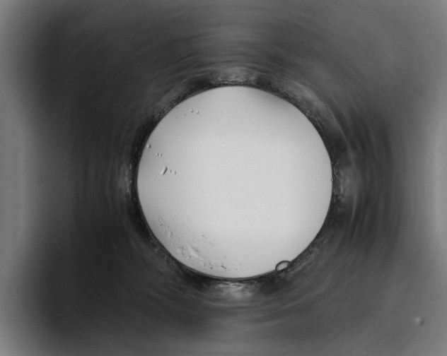 X0000094080326200711161612