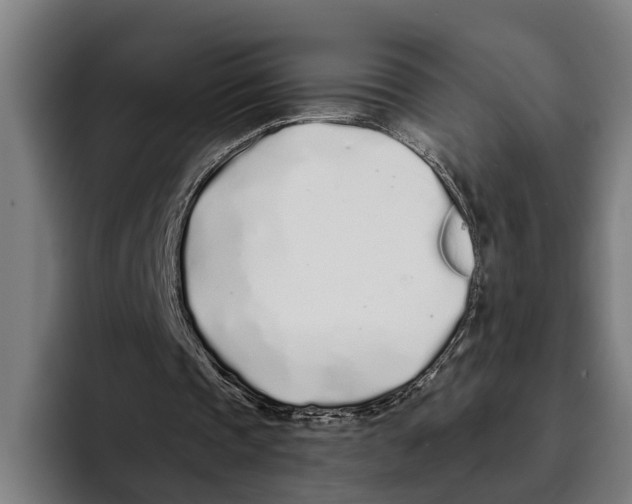 X0000094080337200711161611