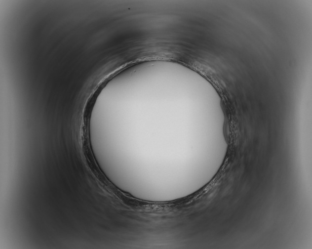 X0000094080338200711161612