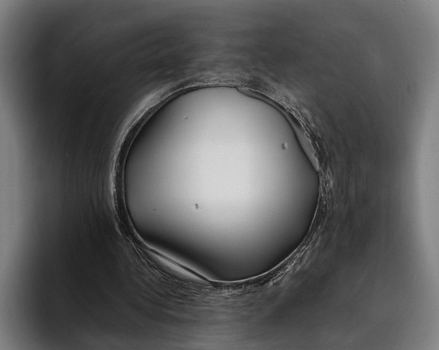 X0000094080340200711161612